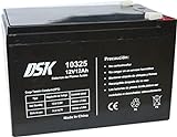 DSK Batería de plomo-ácido 12V 12V, ideal para alarmas domésticas, juguetes eléctricos, vallas, básculas, negro 10325