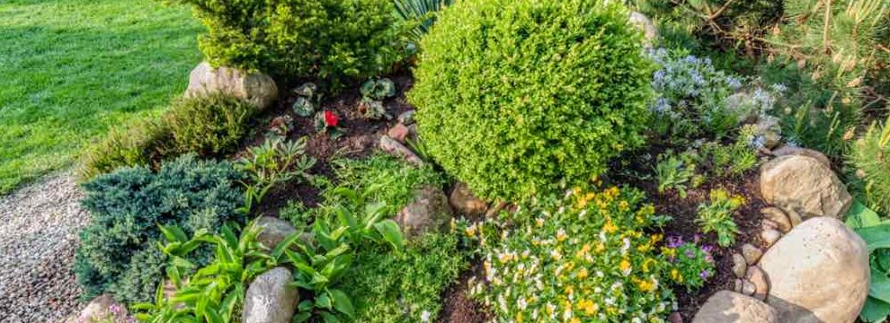 como instalar piedras decorativas en tu jardin una guia paso a paso