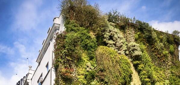 como instalar un jardin vertical guia paso a paso para crear un jardin verde ecologico